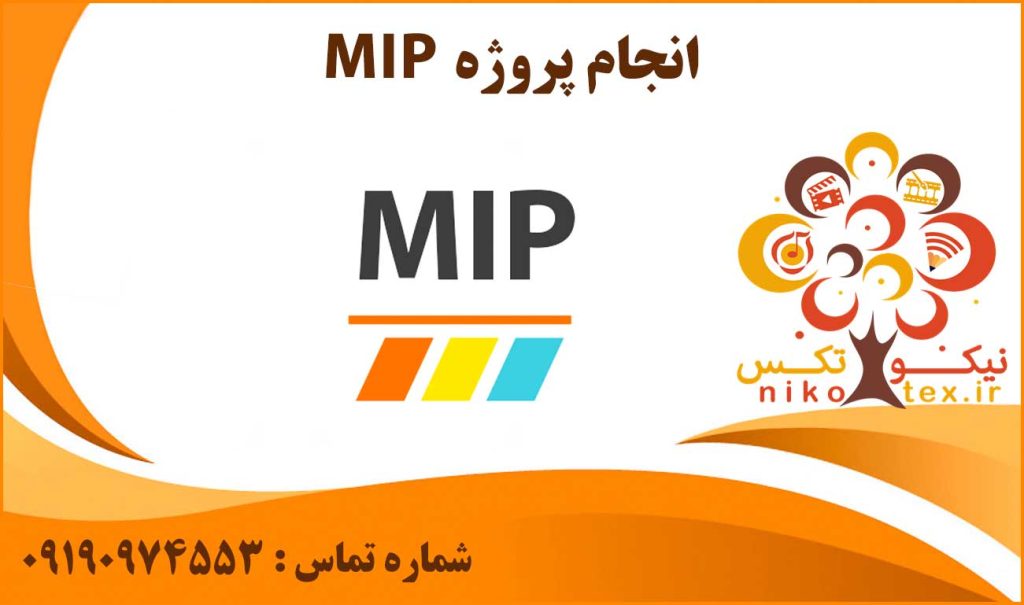 انجام پروژه MIP