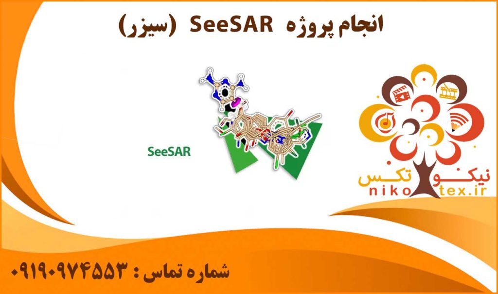 انجام پروژه SeeSAR (سیزر)