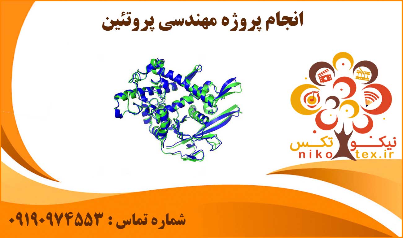 انجام پروژه مهندسی پروتئین (Protein engineering)